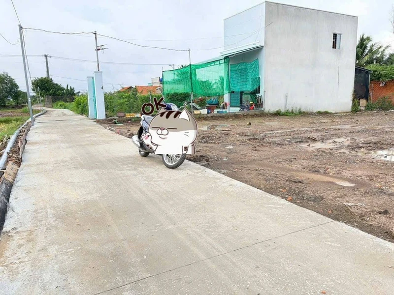 Bán đất thổ cư 175m² Tân Bửu, Bến Lức, Long An