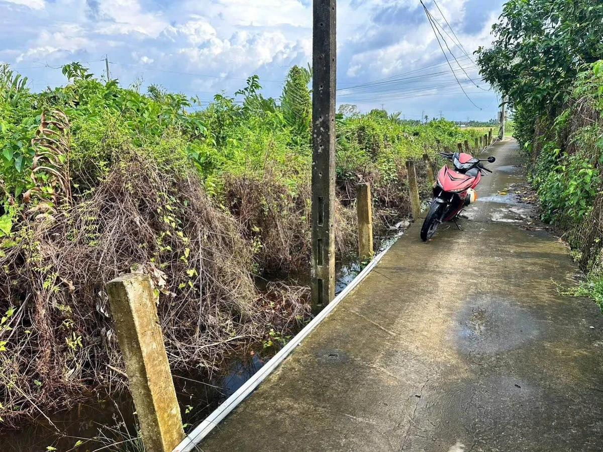 Bán đất 1000m² Ấp 3 Thạnh Đức Nhà Bè, được lên thổ cư - Ảnh thu nhỏ 2