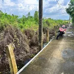 Bán đất 1000m² Ấp 3 Thạnh Đức Nhà Bè, được lên thổ cư - Ảnh thu nhỏ 2