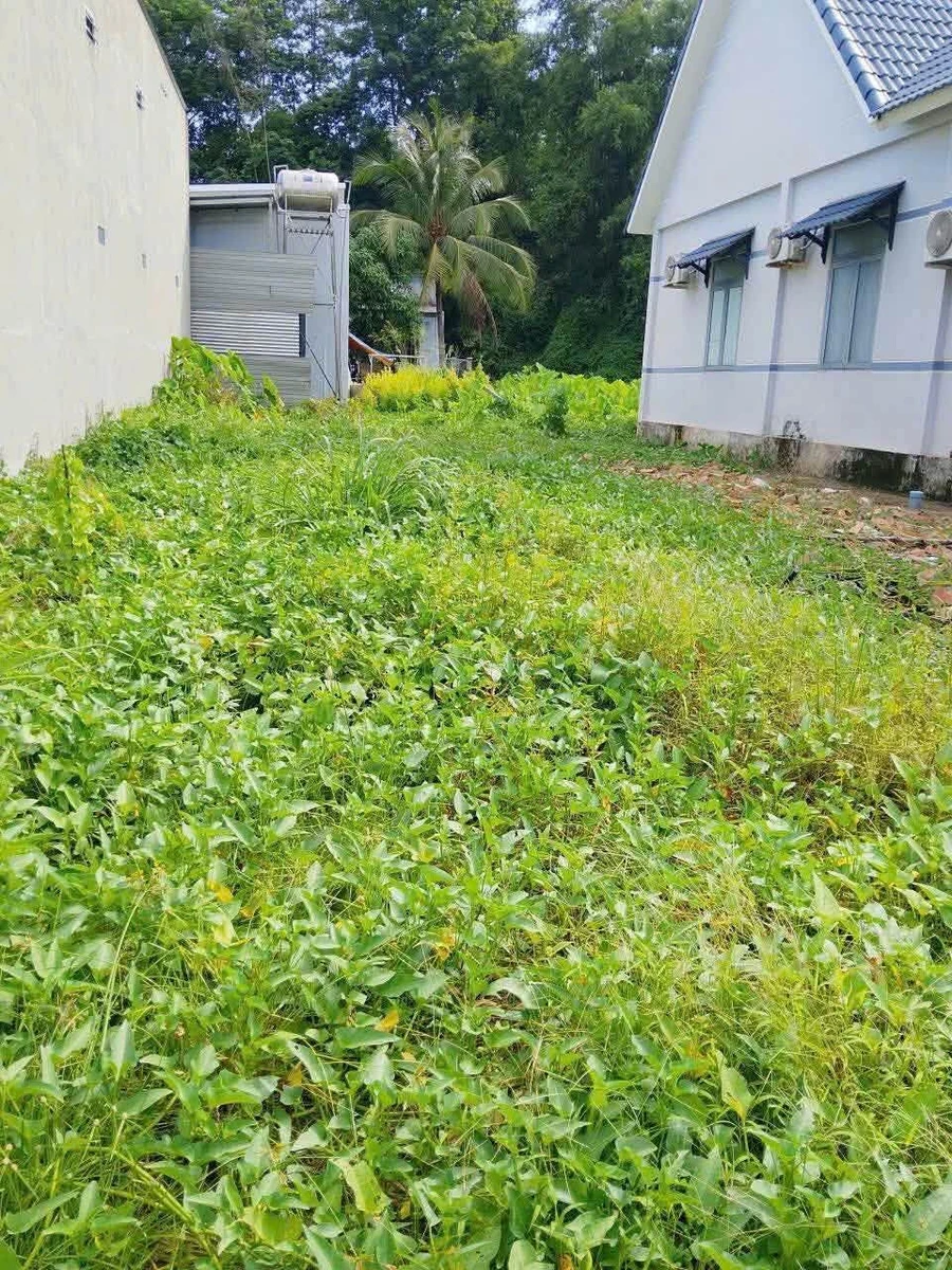 Bán lô đất 167m² Phú Hội, Đồng Nai, 1 tỷ 7 - Ảnh 1