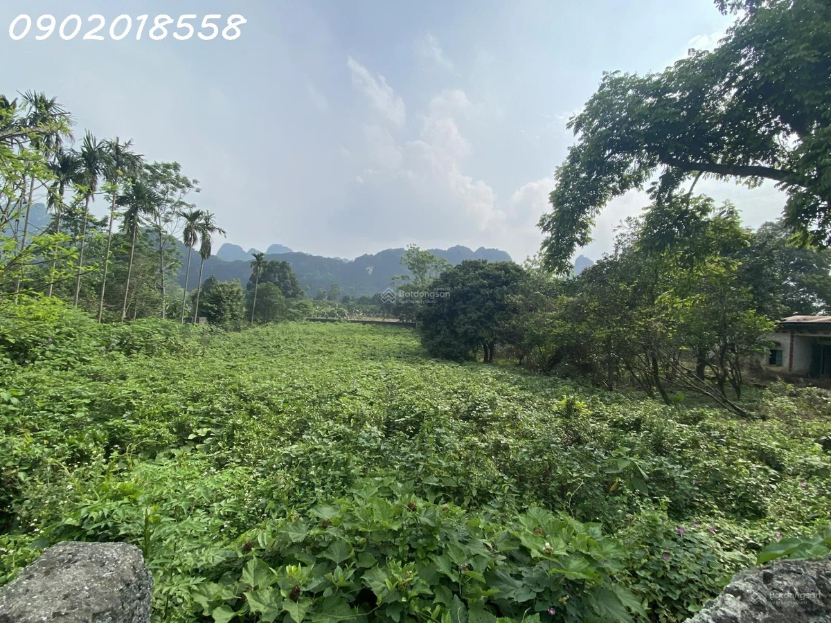 5.000m² ĐẤT 2 MẶT TIỀN – GẦN HÀ NỘI, TIỀM NĂNG KHAI THÁC ĐA DẠNG - Ảnh 1