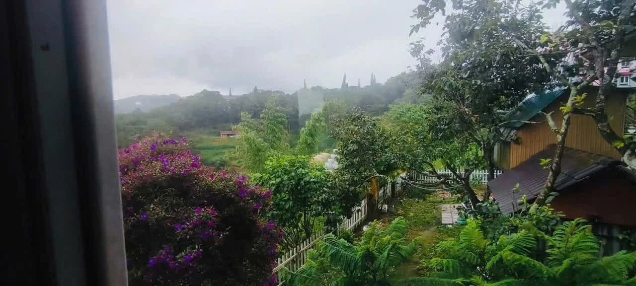 Cho thuê nhà vườn view rừng thông Khe Sanh Đà Lạt 220m² - Ảnh 1