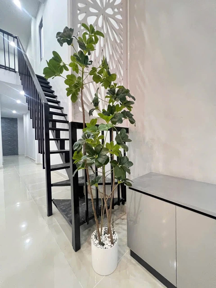 Bán nhà cũ sửa lại 5x18m gác lửng 3PN 2WC gần chợ Thanh Hoá - Ảnh thu nhỏ 3