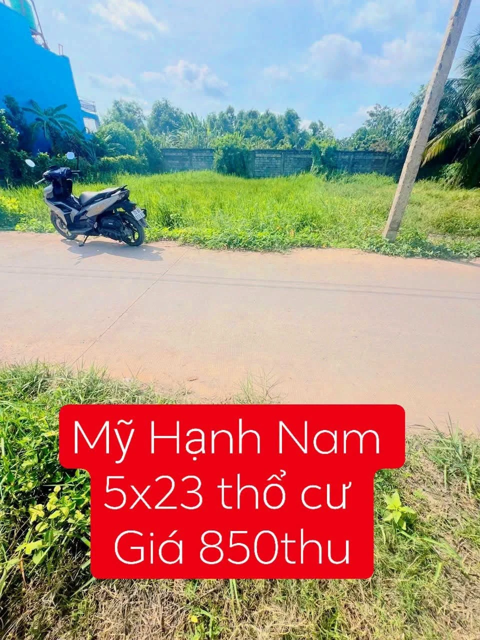 Bán gấp lô đất mặt tiền 115m² Mỹ Hạnh Nam, Đức Hòa, 850 triệu - Ảnh 1
