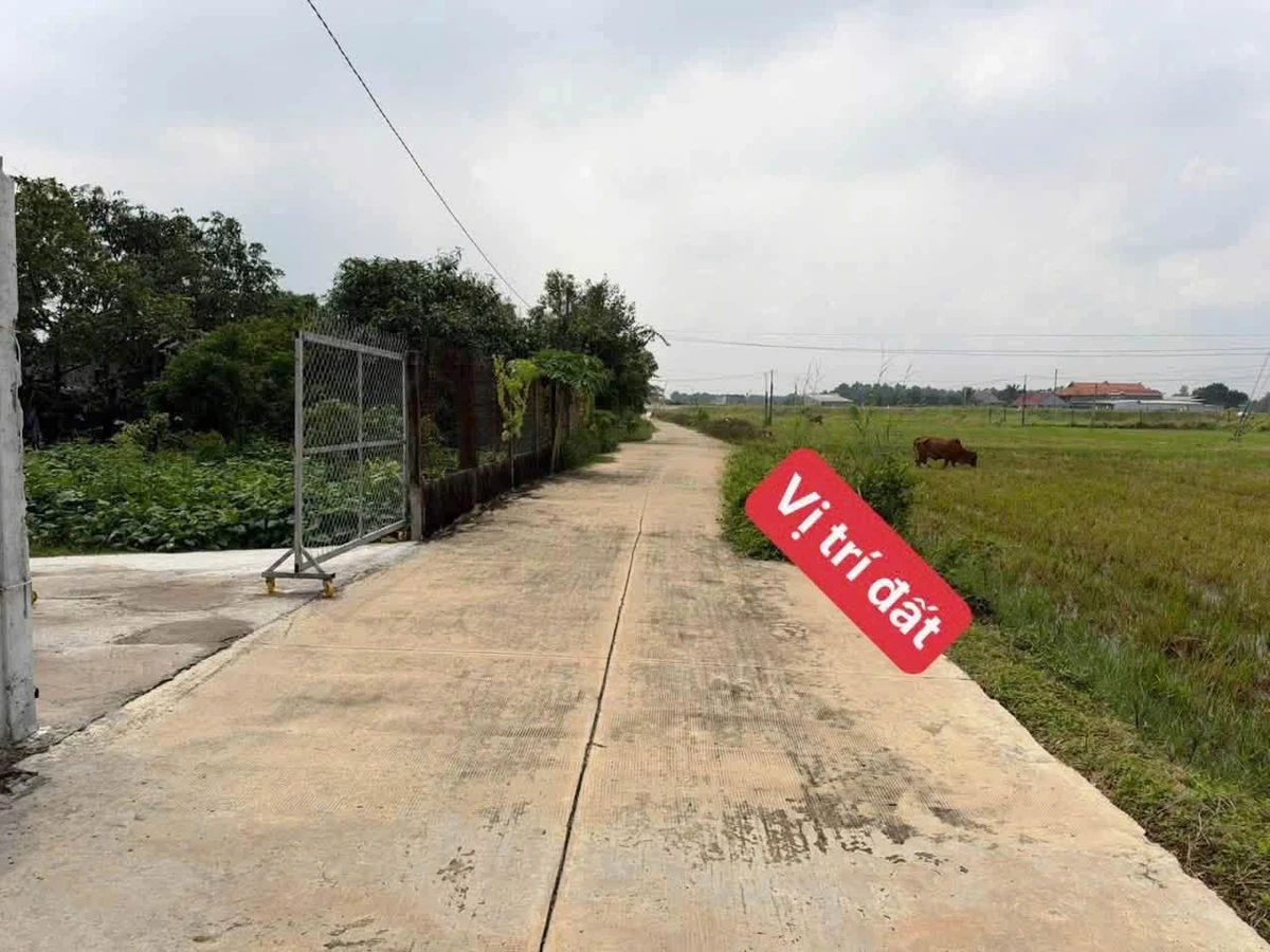 Bán đất full thổ 450m² sổ riêng Hòa Khánh Tây 1 tỷ 900 - Ảnh thu nhỏ 2