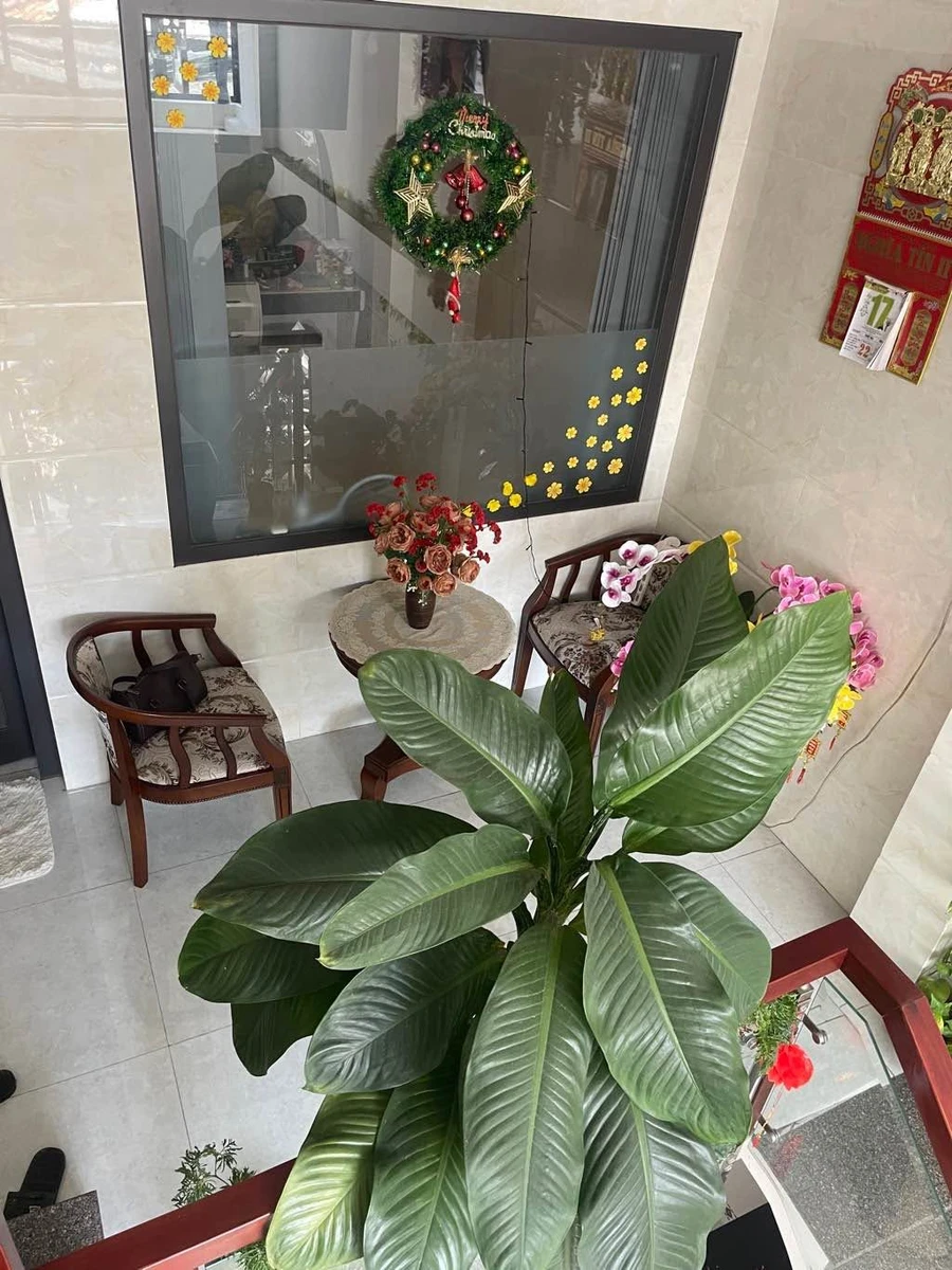 Bán nhà 3 tầng 50m² giữa Hải Châu gần sân bay 5,1 tỷ - Ảnh thu nhỏ 4