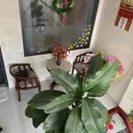 Bán nhà 3 tầng 50m² giữa Hải Châu gần sân bay 5,1 tỷ - Ảnh thu nhỏ 4