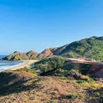 Bán đất 150m² 3 mặt tiền hướng Đông, nhìn biển Gia Lai - Ảnh thu nhỏ 4