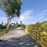 Bán đất vườn 1200m² Ấp 3 Tân Thành Thủ Thừa - Ảnh thu nhỏ 1