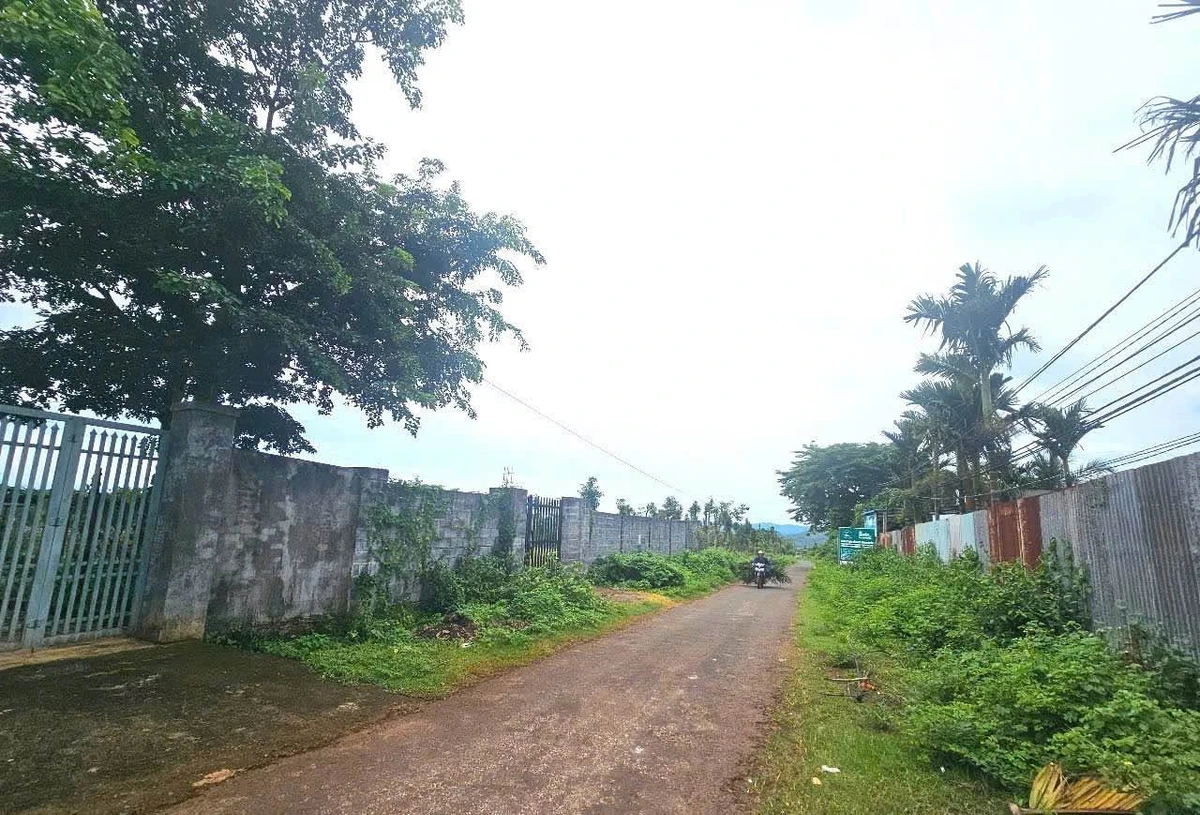 Bán đất mặt tiền 20x100m (2000m²) 6,5 tỷ - Ảnh 1