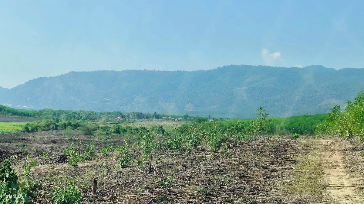 Bán lô đất farm giáp suối 4700m² Nha Trang - Ảnh thu nhỏ 4