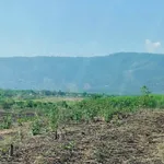Bán lô đất farm giáp suối 4700m² Nha Trang - Ảnh thu nhỏ 4