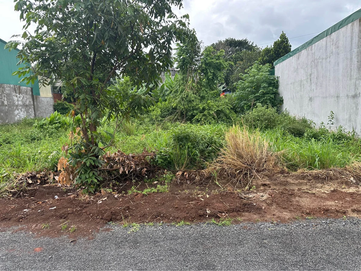 Bán đất Khánh Xuân 120m², giá 950 triệu - Ảnh thu nhỏ 2