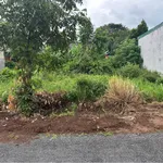 Bán đất Khánh Xuân 120m², giá 950 triệu - Ảnh thu nhỏ 2