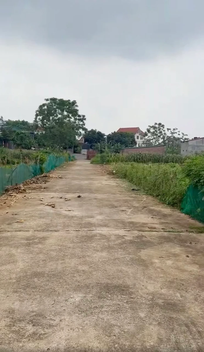 Bán đất nền 120m2, mặt tiền 6m tại Thanh Đình, Việt Trì, 1 tỷ 480 triệu - Ảnh thu nhỏ 4
