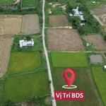 Bán lô đất thổ cư 100m² Bình An, Hàm Chính, Bình Thuận - Ảnh thu nhỏ 2
