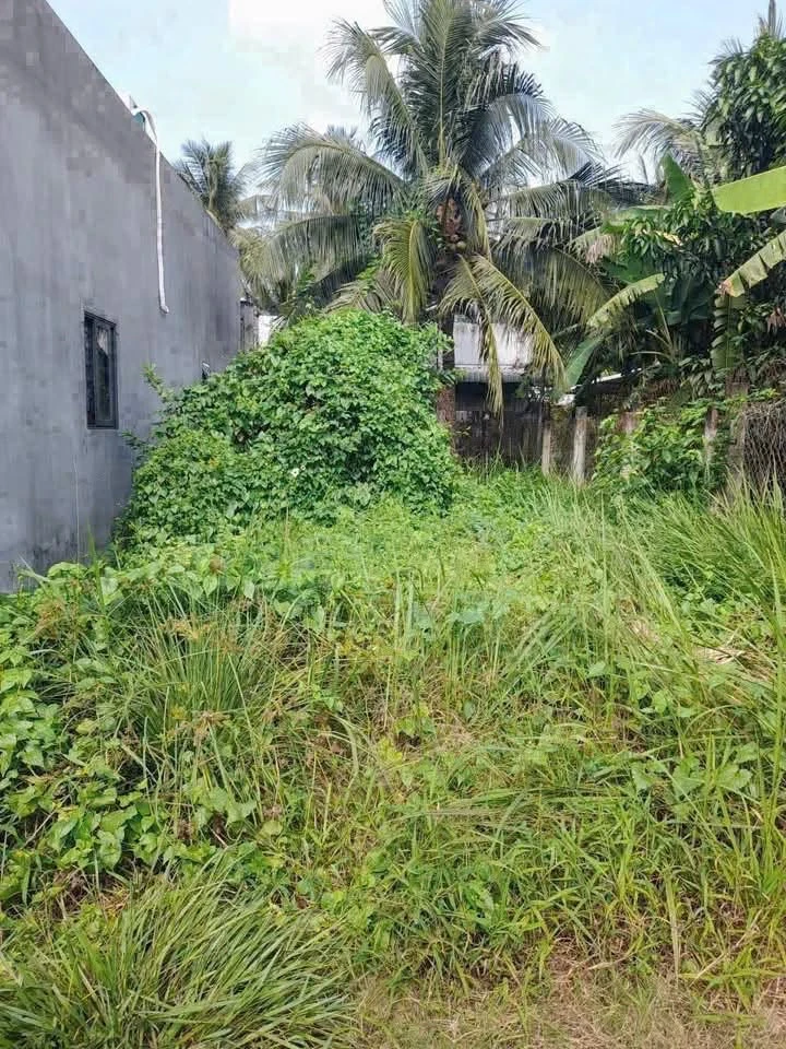 Bán nền đất 107.2m² tại Bến Tre, giá 490 triệu - Ảnh thu nhỏ 2