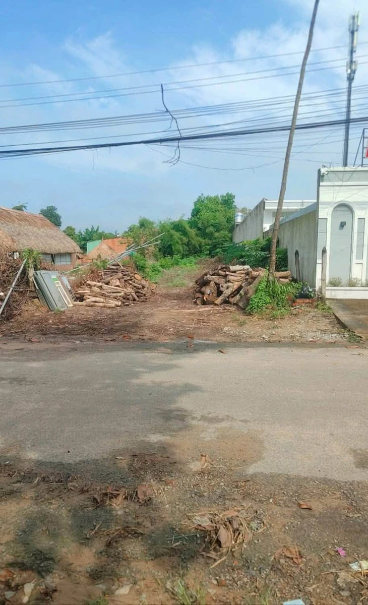 Bán lô đất 4800m² mặt đường 8m Phú An Bình Chánh 3 tỷ 480 - Ảnh thu nhỏ 2