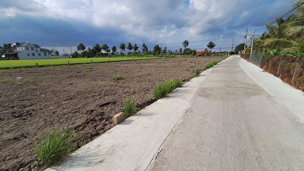 Bán đất lô góc 2 mặt tiền Tỉnh lộ 833, gần trường cấp 2 Nhựt Tân, từ 650 triệu - Ảnh thu nhỏ 5