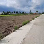 Bán đất lô góc 2 mặt tiền Tỉnh lộ 833, gần trường cấp 2 Nhựt Tân, từ 650 triệu - Ảnh thu nhỏ 5