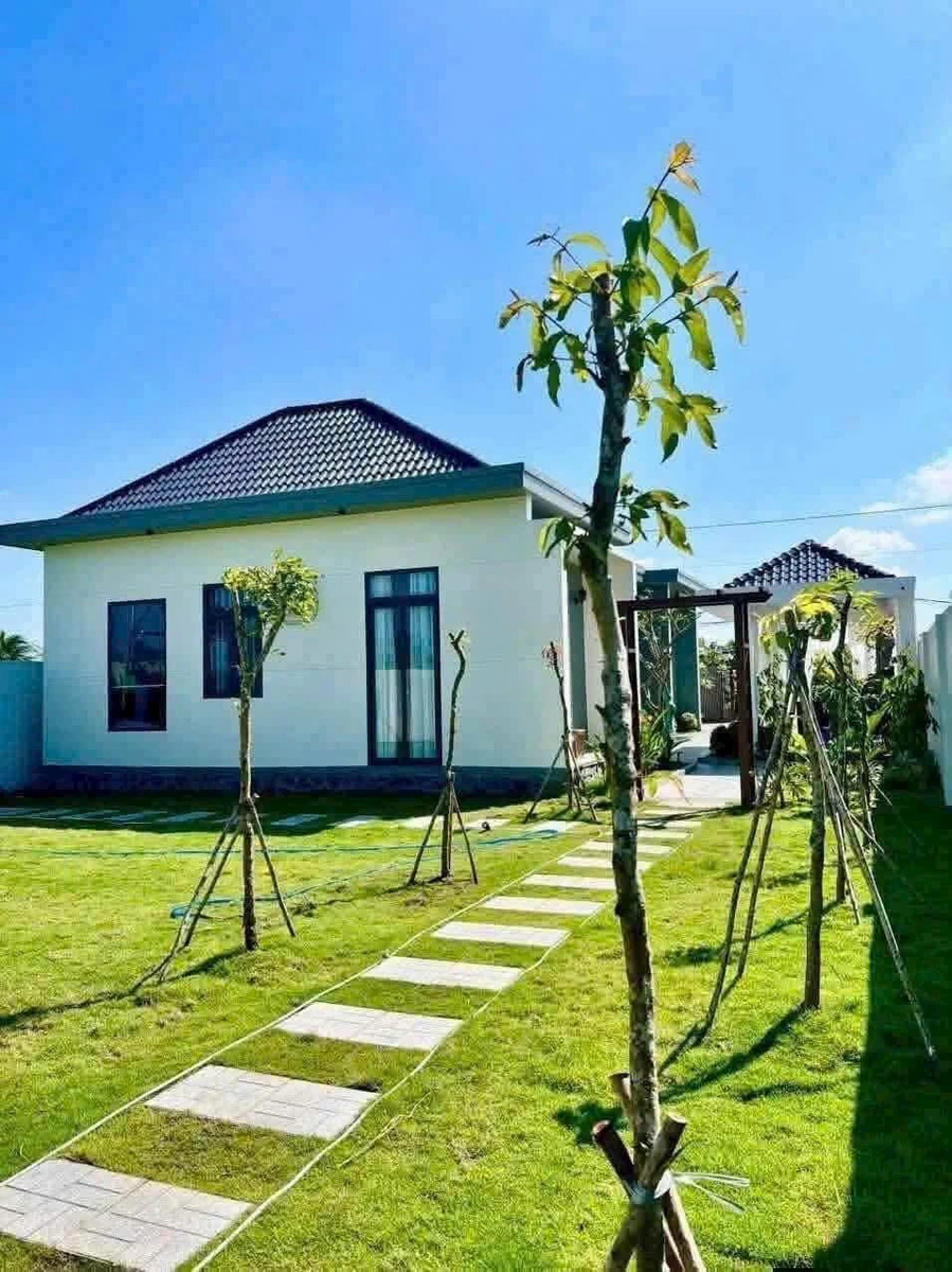 Bán nhà vườn 1.000m² mái Nhật tại xã Hòa Phú, Châu Thành, Long An - Ảnh thu nhỏ 2