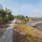 Bán đất ruộng góc 2 mặt tiền 150m x 400m Mong Thọ B Kiên Giang - Ảnh thu nhỏ 3