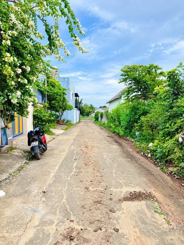 Bán đất mặt tiền Đường A2 Buôn Ma Thuột 170m² 2 tỷ 250