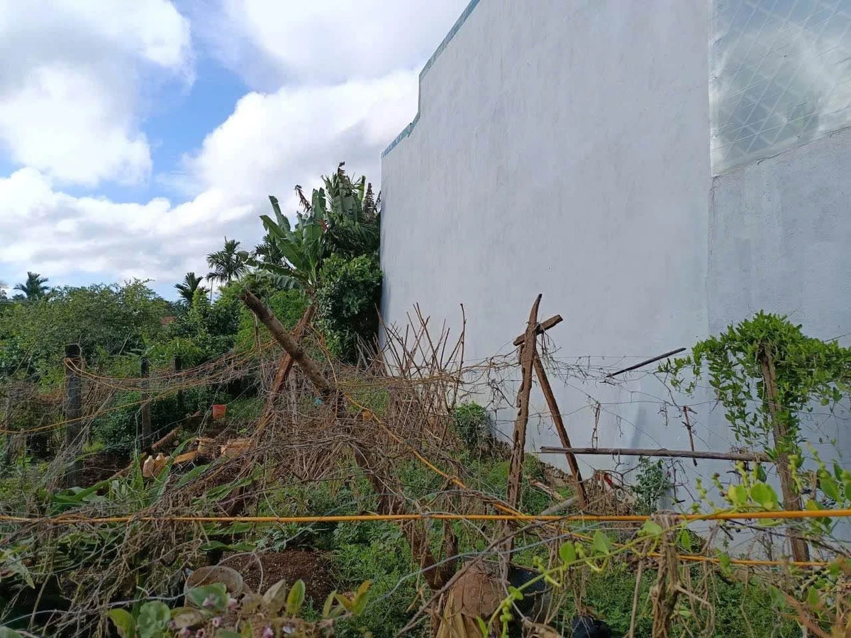 Bán đất hẻm 2 mặt tiền Nguyễn Xuân Nguyên, 48m², 2 tỷ 250 - Ảnh thu nhỏ 4