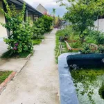 Bán nhà trọ 8 phòng + nhà ở 3PN tại Phú Túc, 1700m² - Ảnh thu nhỏ 2