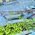 Bán đất Tam Hà 150m² giá 8,95 tỷ Thủ Đức - Ảnh thu nhỏ 3
