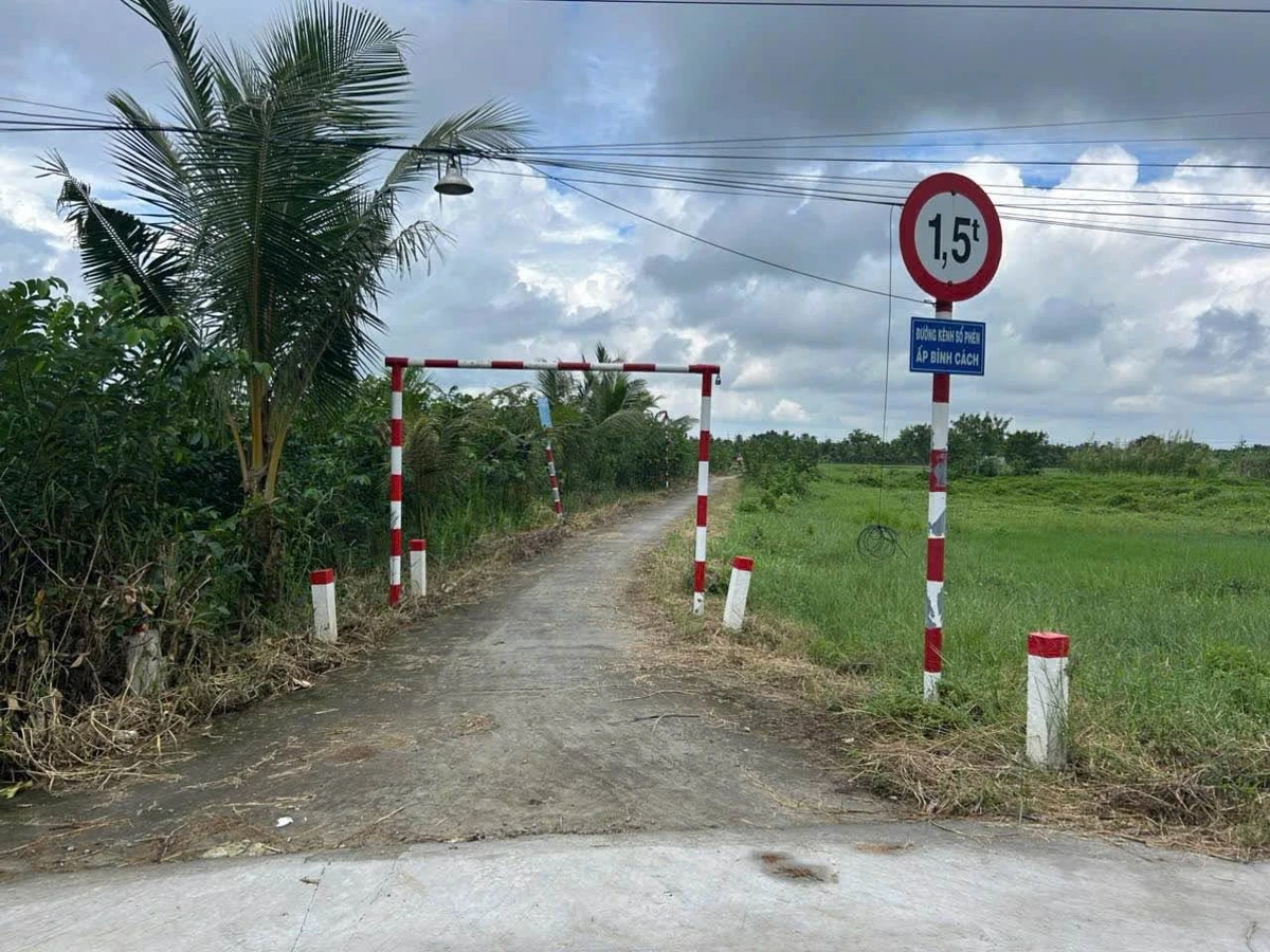 Bán gấp đất vườn 2700m² Gò Công Tây, Tiền Giang - Ảnh thu nhỏ 3