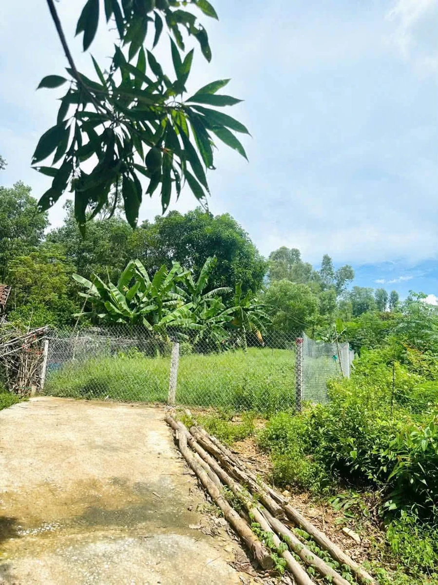 Bán đất 759m2 tại Châu Sơn 2, Đà Nẵng, giá 1 tỷ 4 - Ảnh thu nhỏ 2