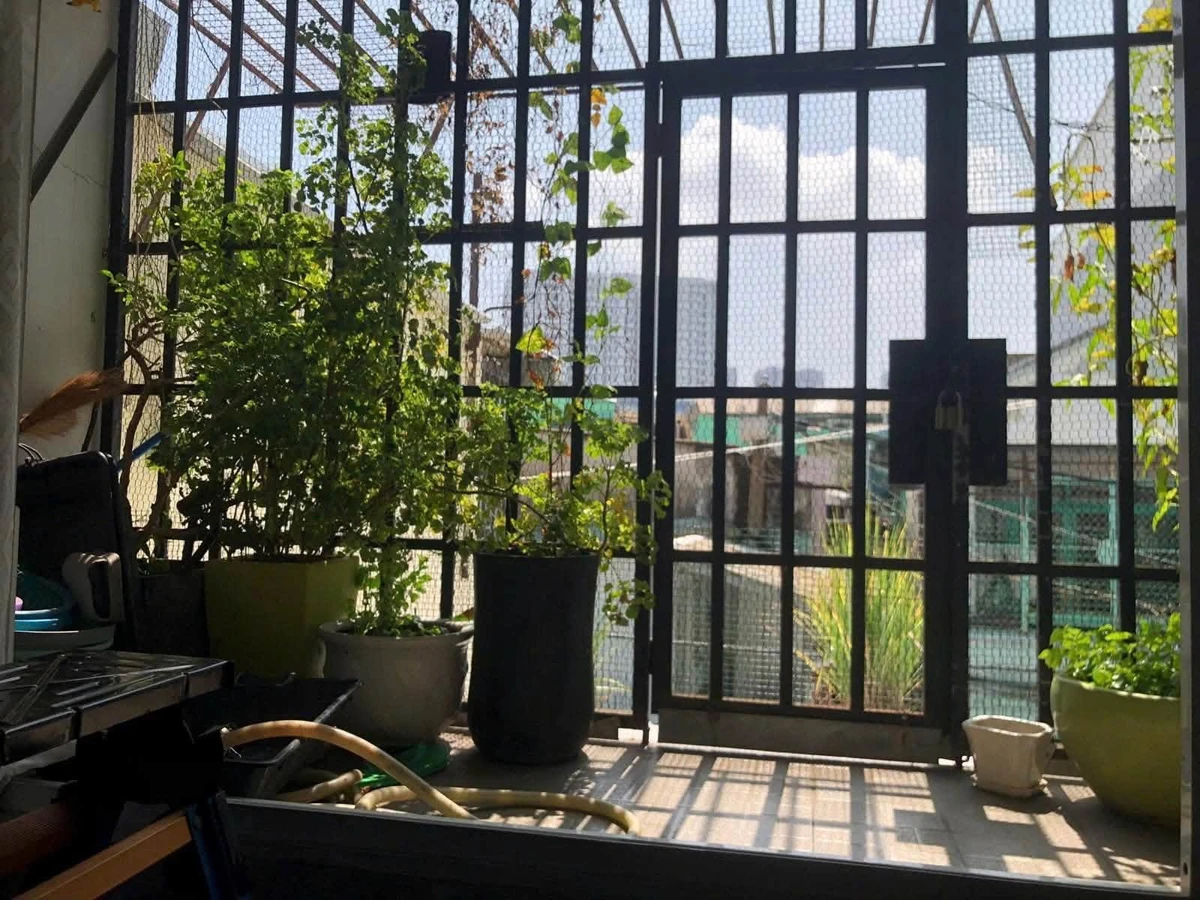 Bán nhà góc 2 mặt tiền Trần Văn Thành Quận 8, 45m², 1 trệt 1 lầu, giá 5,5 tỷ - Ảnh thu nhỏ 2