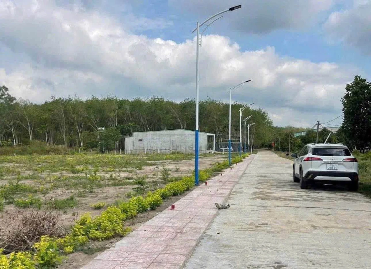 Bán đất vườn mít 574m2 Chơn Thành Bình Phước 9 tỷ - Ảnh thu nhỏ 3