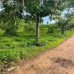 Bán đất nông nghiệp 3500m² Buôn Kram Ea Tiều Cũ - Ảnh thu nhỏ 3