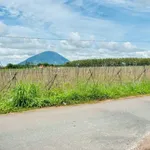 Bán đất nền mặt tiền đường nhựa DH13, 1000m2, giá 570 triệu, Phường Ninh Thạnh, Tây Ninh - Ảnh thu nhỏ 1