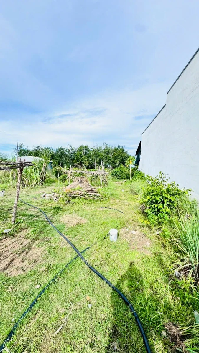 Bán đất thổ cư 5x26m Gò Dầu Tây Ninh 350 triệu - Ảnh thu nhỏ 4