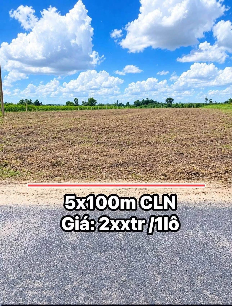 Bán đất vườn 500m2 đường nhựa 8m tại Phường Bình Minh, Tây Ninh giá 285 triệu - Ảnh thu nhỏ 5