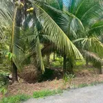 Bán đất vườn dừa 6 công mặt tiền 50m, 2,7 tỷ Bình Đại - Ảnh thu nhỏ 2
