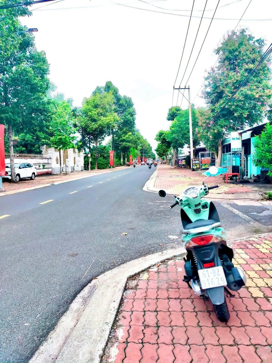 Bán đất mặt tiền Phan Đăng Lưu 230m² Bình Dương 2.6 tỷ - Ảnh thu nhỏ 5