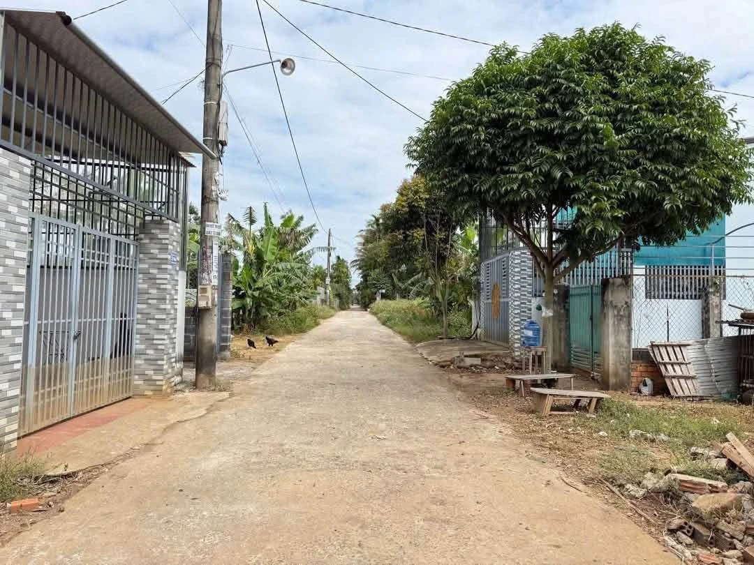 Bán lô đất mặt tiền Phường Tân An 125m² - 1 tỷ 290 triệu - Ảnh thu nhỏ 2