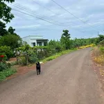 Bán đất vườn 1000m² TP Đồng Nai chỉ 380 triệu - Ảnh thu nhỏ 1