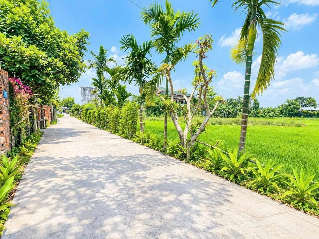 Bán đất Điện Bàn Đà Nẵng 130m² giá 5 tỷ - Ảnh 1