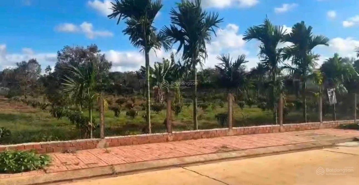 Bán 3,5 sào đường 26m có vỉa hè trung tâm thị trấn Krông Năng Đắk Lắk - Ảnh thu nhỏ 2