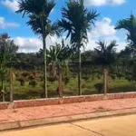 Bán 3,5 sào đường 26m có vỉa hè trung tâm thị trấn Krông Năng Đắk Lắk - Ảnh thu nhỏ 2