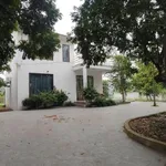 Bán villa vườn 1.846m² Yên Bài Ba Vì Hà Nội - Ảnh thu nhỏ 3