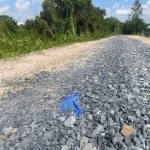 Bán đất đối diện Chợ, Trường Học, cách KCN Long Giang 10 phút. Giá 358 Triệu - Ảnh thu nhỏ 6