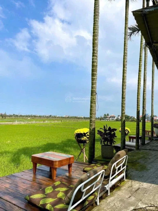 Hàng hiếm, view lúa mặt tiền Lê Thánh Tông, đất nở hậu, vị trí đẹp trong khu vực - Ảnh 1