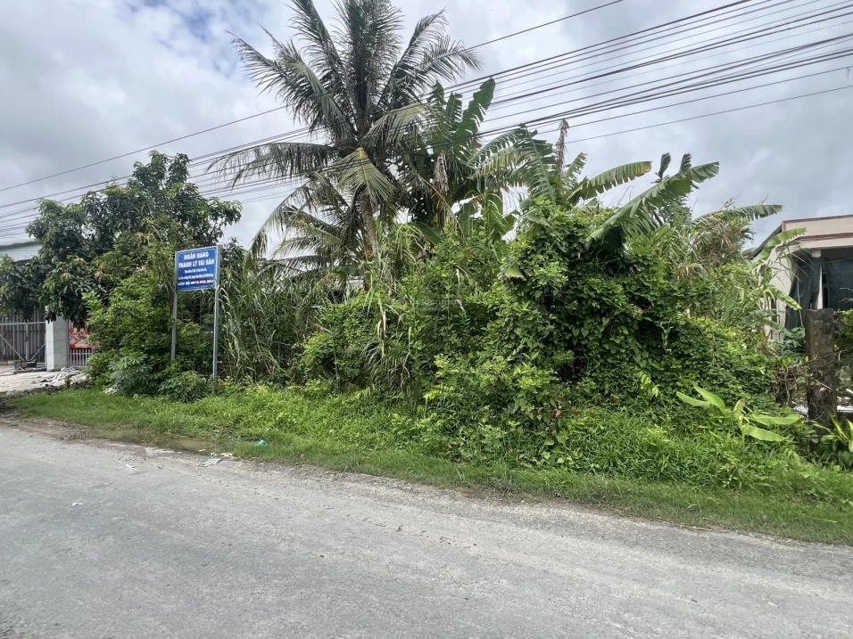 Ngân hàng thanh lý lô đất 1.442m2 tại Ngãi Tứ, Tam Bình, Vĩnh Long - Ảnh thu nhỏ 2