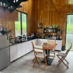 Bán đất 2000m² sổ riêng Lạc Dương Lâm Đồng 3,5 tỷ - Ảnh thu nhỏ 3